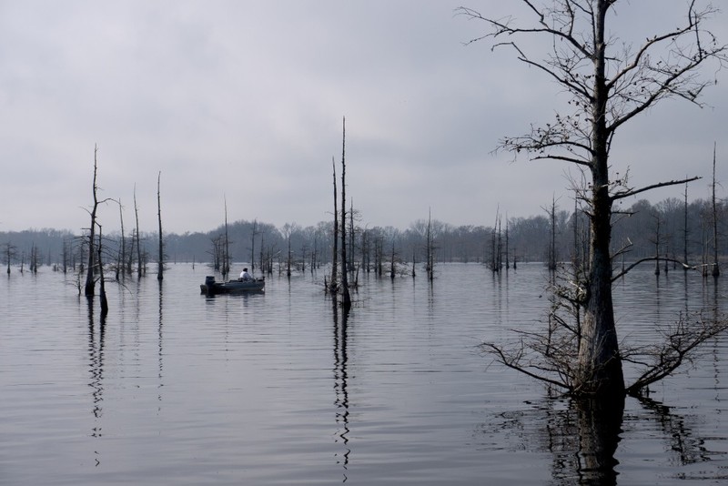 Monroe, LA : Lake overview - Black Bayou Lake Park photo, picture ...