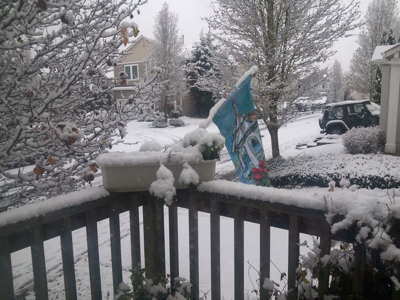 Felida, WA: Snow blessing.