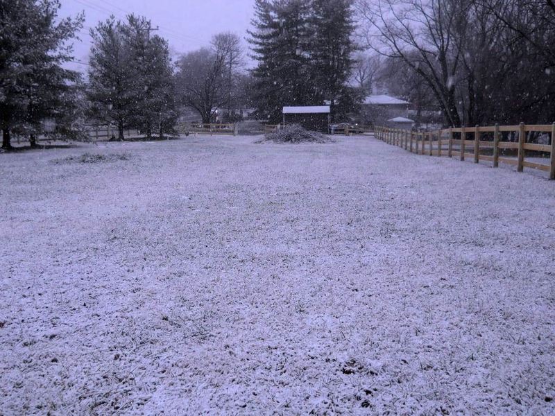 Reisterstown, MD: Snowy Field Off Hanover Pike