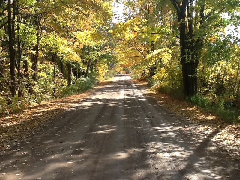 Barryton, MI: Fall in Barryton, Michigan