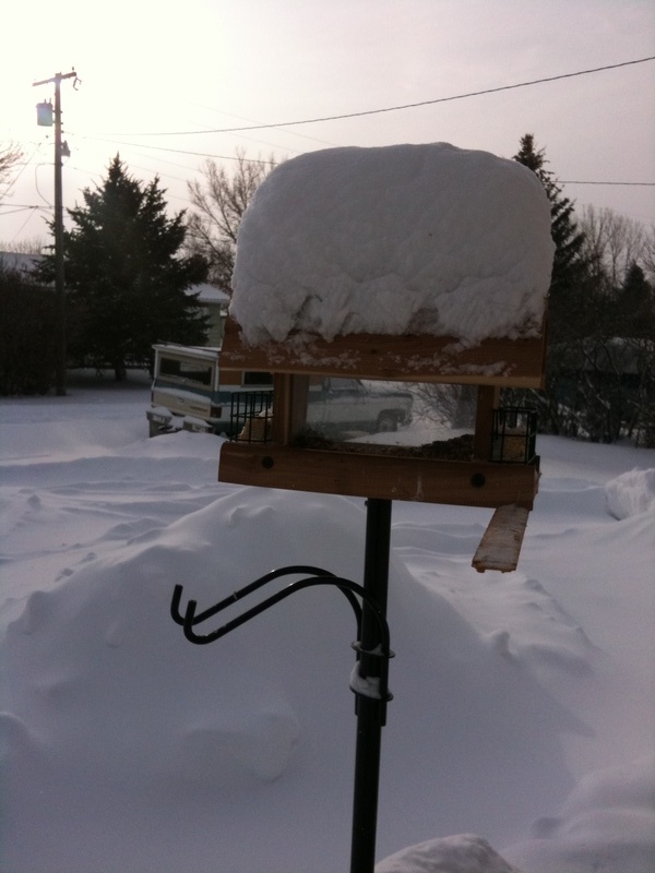 Vaughn, MT: Sometimes it snows!