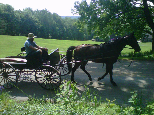 Volant, PA: Amish in Volant, PA