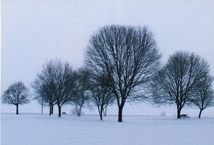 Lakewood, OH: Lakewood Park in the winter
