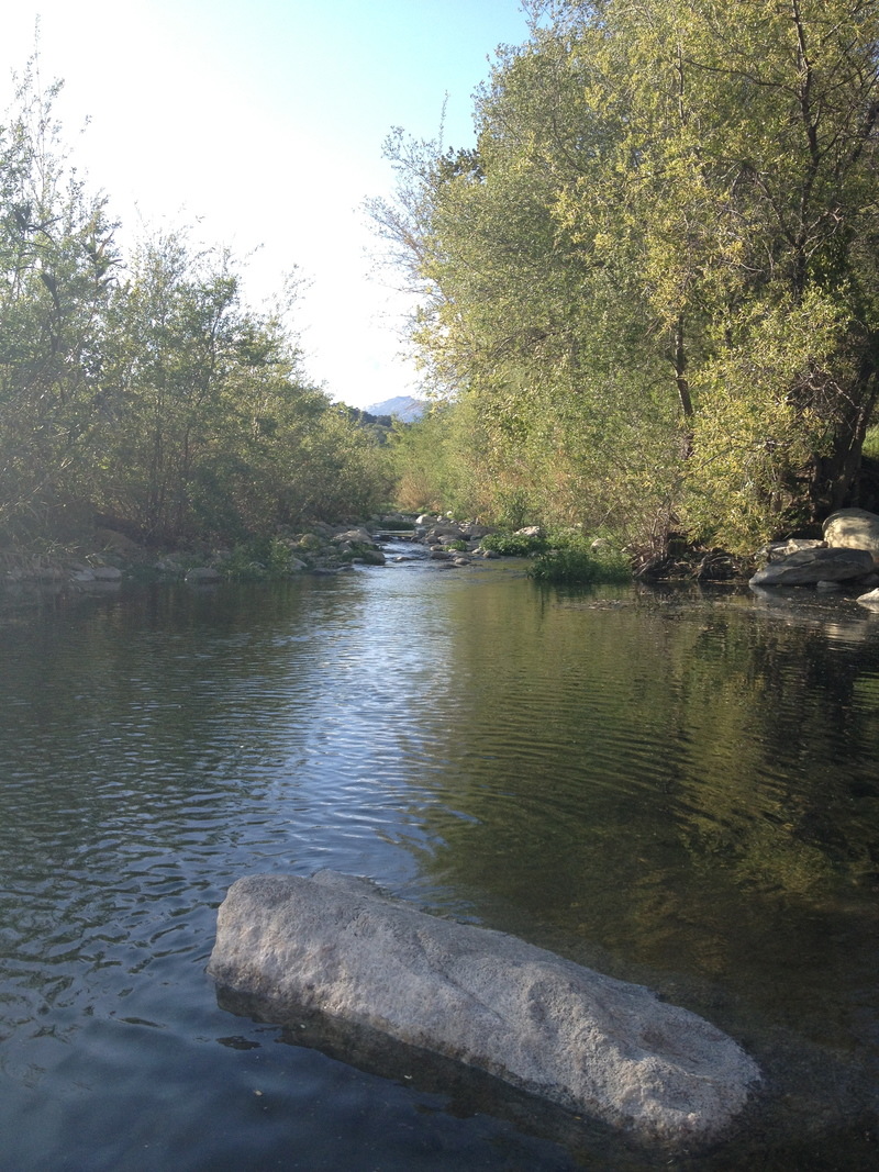 Oak View, CA: River Pool