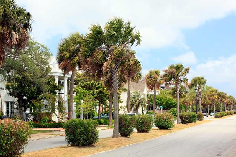 Charleston, SC Murray Blvd. photo, picture, image (South Carolina) at