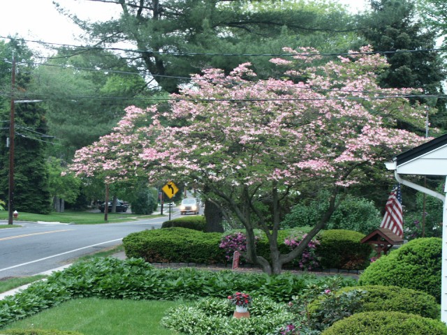 Washington Township, NJ: Ridgwood Road