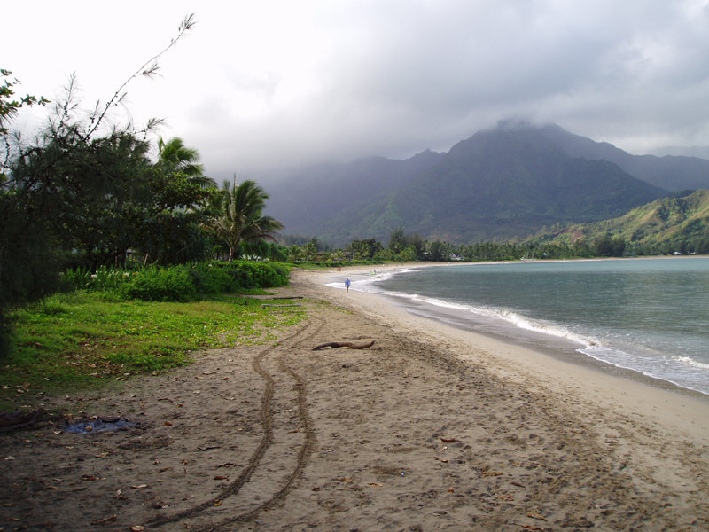 Hanalei, HI : Hanalei Bay - early moring walk photo, picture, image ...