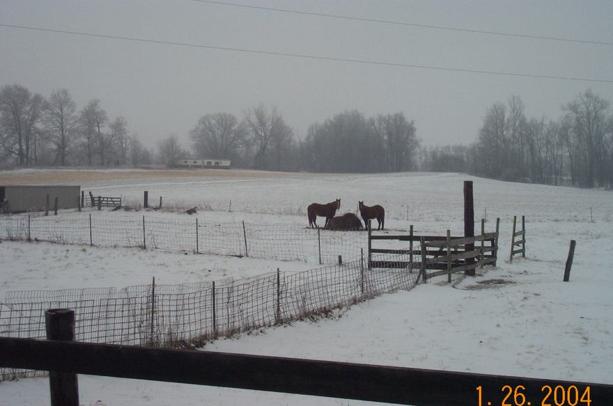 Cloverdale, IN A farm in Cloverdale, Indiana photo, picture, image