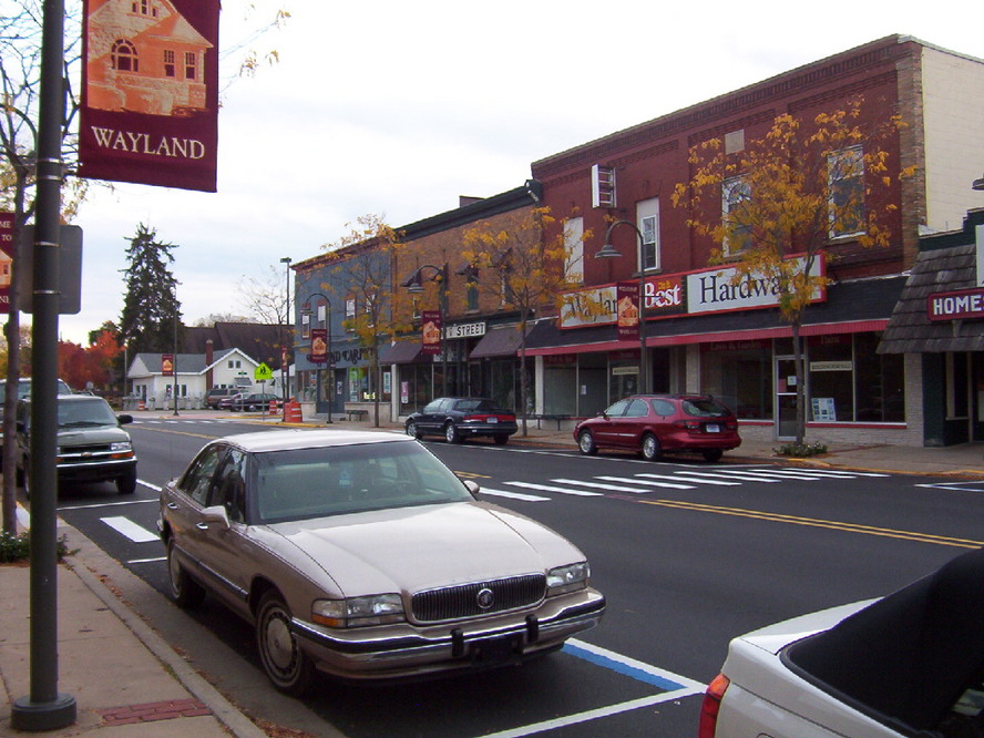 Wayland, MI: Main Street