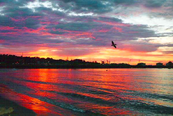Monterey, CA: Monterey Bay - Fisherman Wharf Sunset
