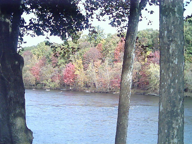 Slatington, PA: fall leaves changing color alon the lehigh river / south side of the bridge