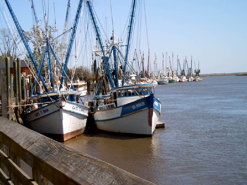 Darien, GA: Shrimp Fleet