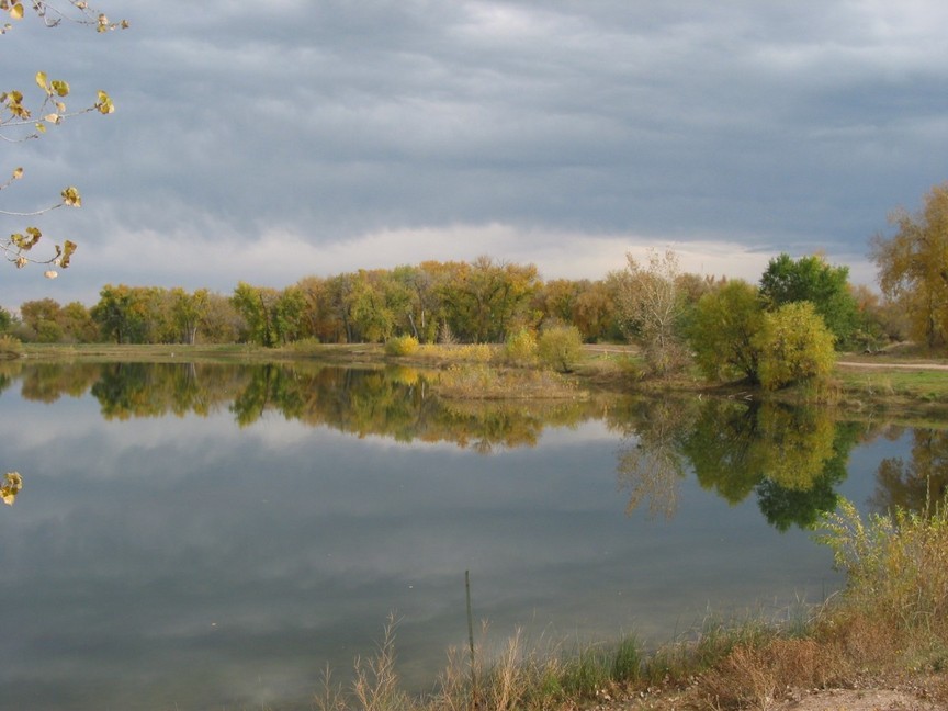 Windsor, CO: Pond scene