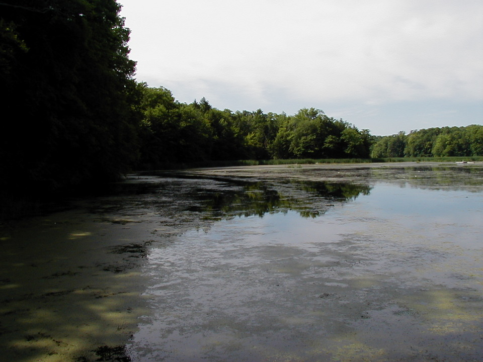 Sodus, NY: Second Creek on Sodus Bay
