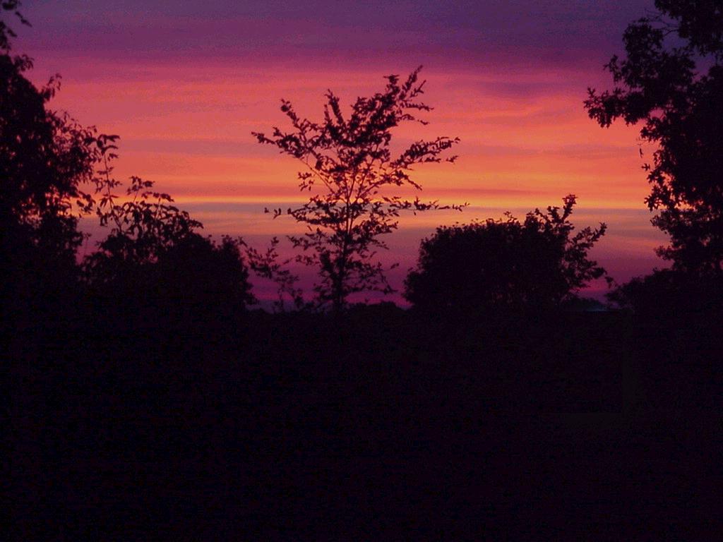 Spring Grove, IL: Sunset from Chain O' Lakes State Park