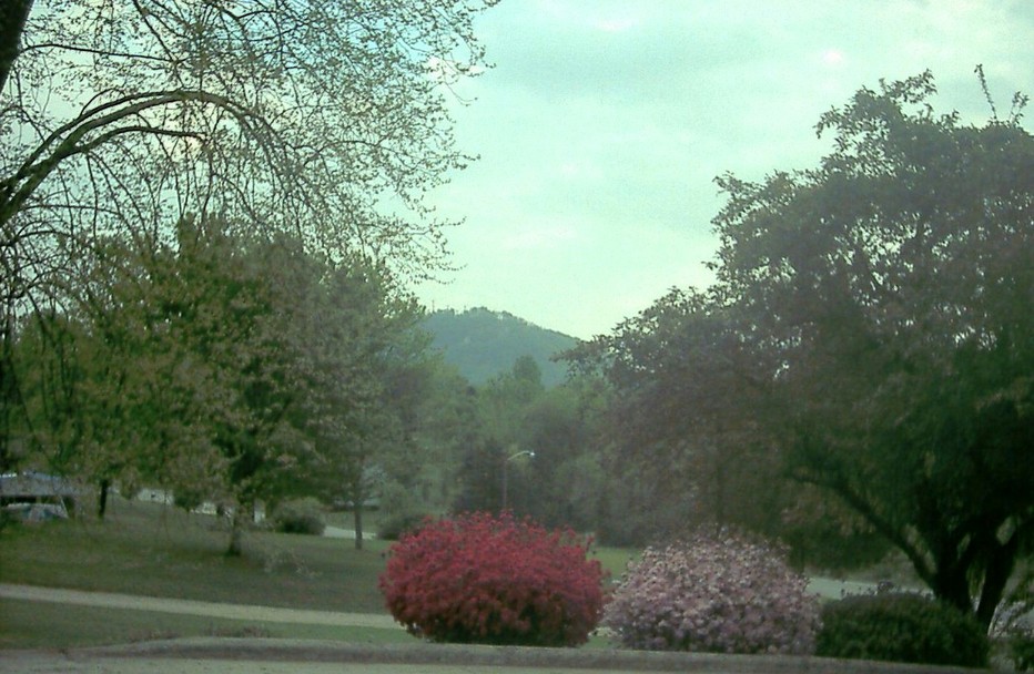 Lenoir, NC: View of Hibritain Mtn, Lenoir, NC