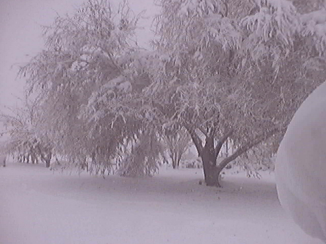 Yucca Valley, CA: Yucca Valley snow,November 21st 2004