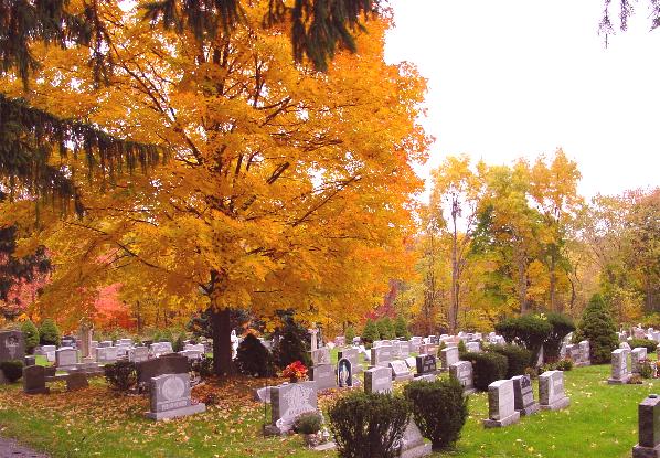 Cornwall, NY: CORNWALL, NEW YORK FALL COLORS IN CEMETARY ON MAILER AVE.