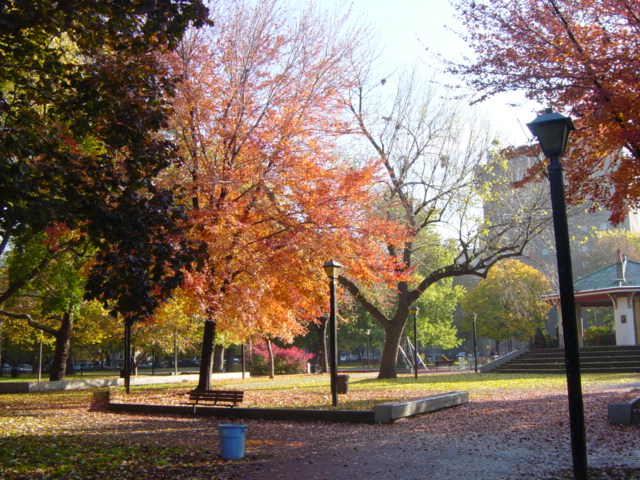 Jersey City, NJ: Autumn in Hamilton Park