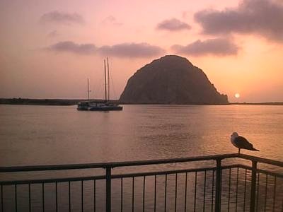 Morro Bay, CA: Morro Rock at Sunset, Seagull included.