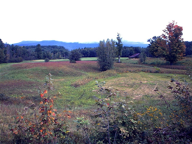 Plymouth, NH: Farm & field from Yeaton Road