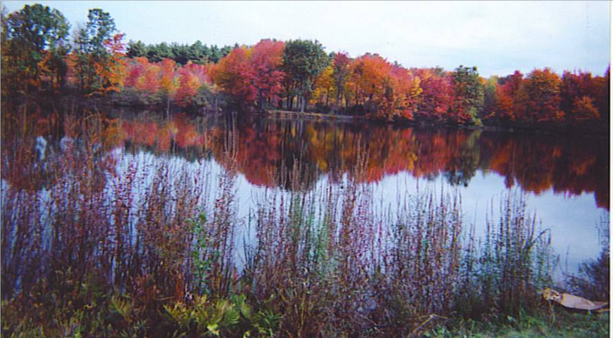 Millis, MA: Richardson's Pond in the fall