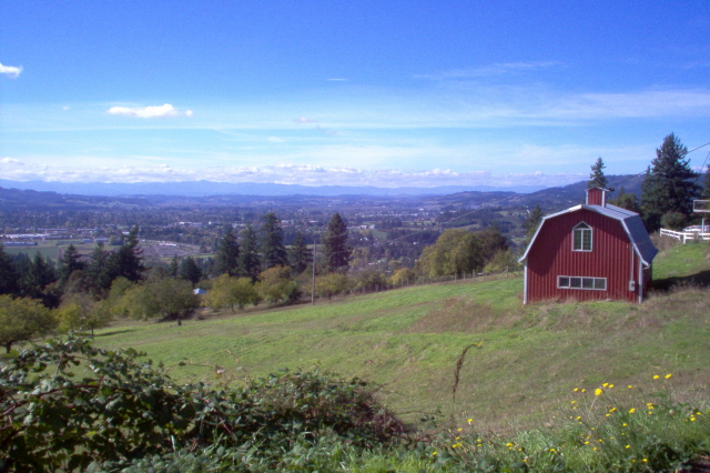 Newberg, OR: View of Newberg from a farm in the hills