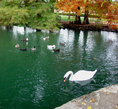 Stillwater, OK : Theta Pond on the OSU campus photo, picture, image ...