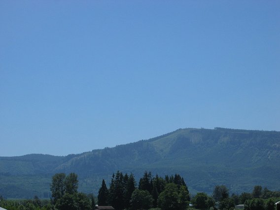 Cathlamet, WA: A shot of the Oregon hillside from East Bernie Slough Road