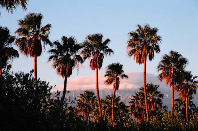 Palm Springs, CA: Palm Springs