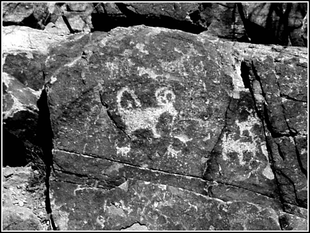 Tucson, AZ: Ancient petroglyphs at Picture Rocks Sanctuary...