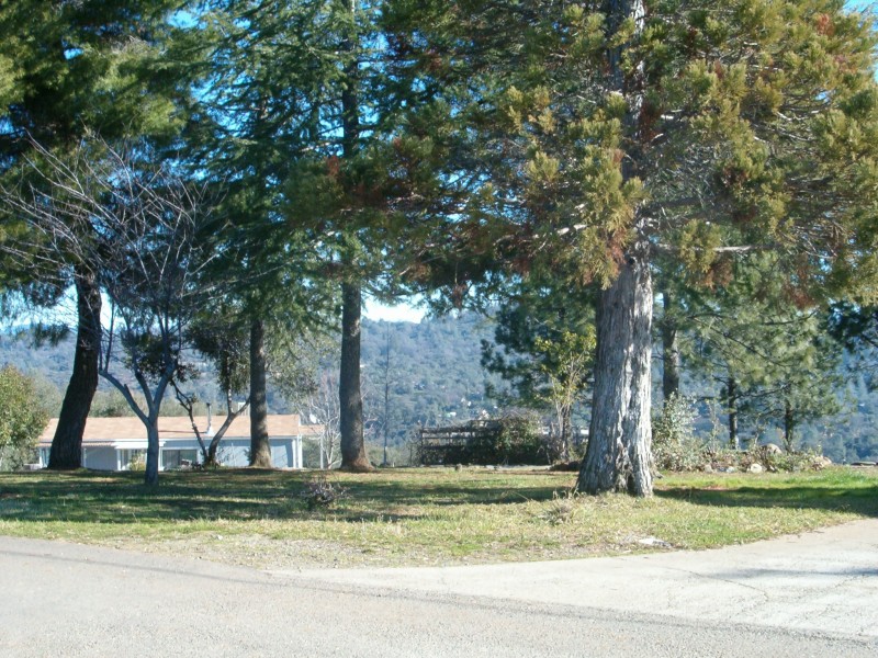 Shingle Springs, CA Up in the foothills photo, picture, image