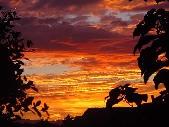 Phoenix, AZ: Beautiful Sunset from my backyard