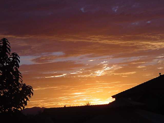Phoenix, AZ: Beautiful Sunset from my backyard #3