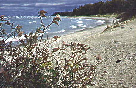 Petoskey, MI: Lake Michigan, Downtown Petoskey, Michigan