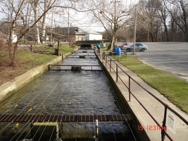 Chambersburg, PA: Chambersburg Rod & gun Club