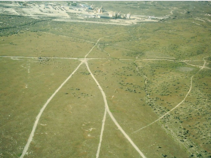 Taft, CA Kitty Litter Plant photo, picture, image (California) at