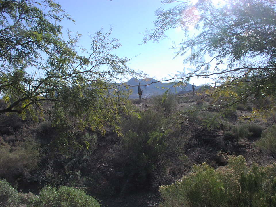 Fountain Hills, AZ: view from a condo at Fire Rock Casitas