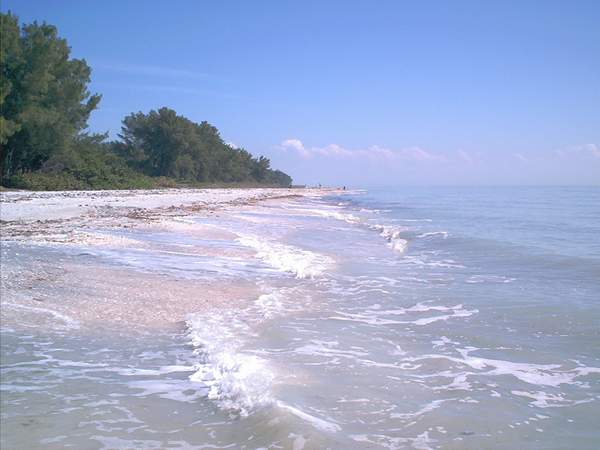 Sanibel, FL: Sanibel Island Beach