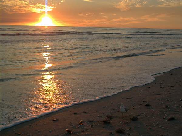 Sanibel, FL: Sanibel Island Beach Sunset