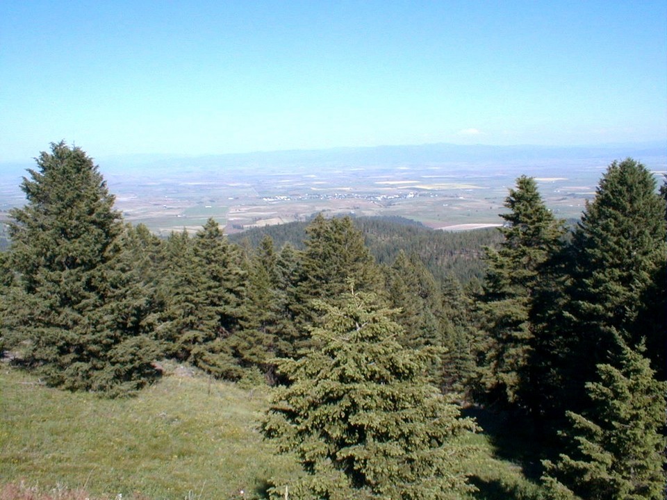 Cottonwood, ID: This is a view of Cottonwood looking East from Cottonwood butte