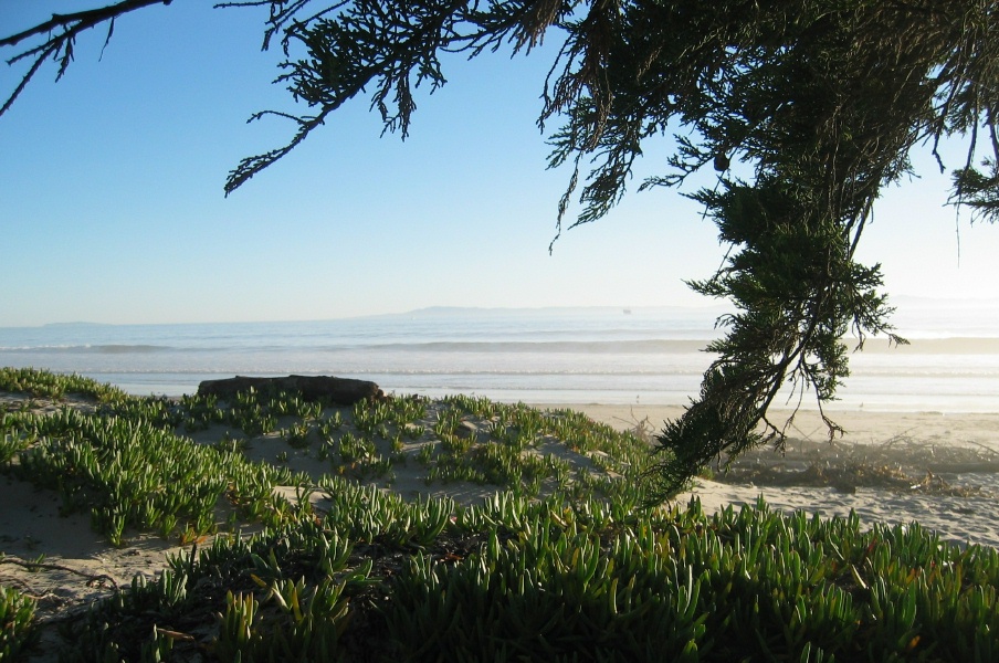 Carpinteria, CA: carp beach