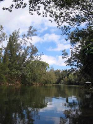 Wahiawa, HI: Lake Wilson