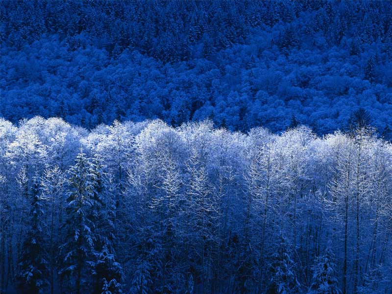 Fletcher, VT: Winter in the hills