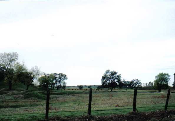 Lockeford, CA: Landscape Shot Near Town