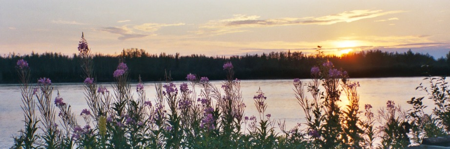 Nenana, AK: Another view of the sunset over the Nenan River. North of the city at an RV Park