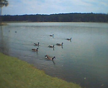 Meridian, MS: Bonita Lakes Meridian Ms. 2004