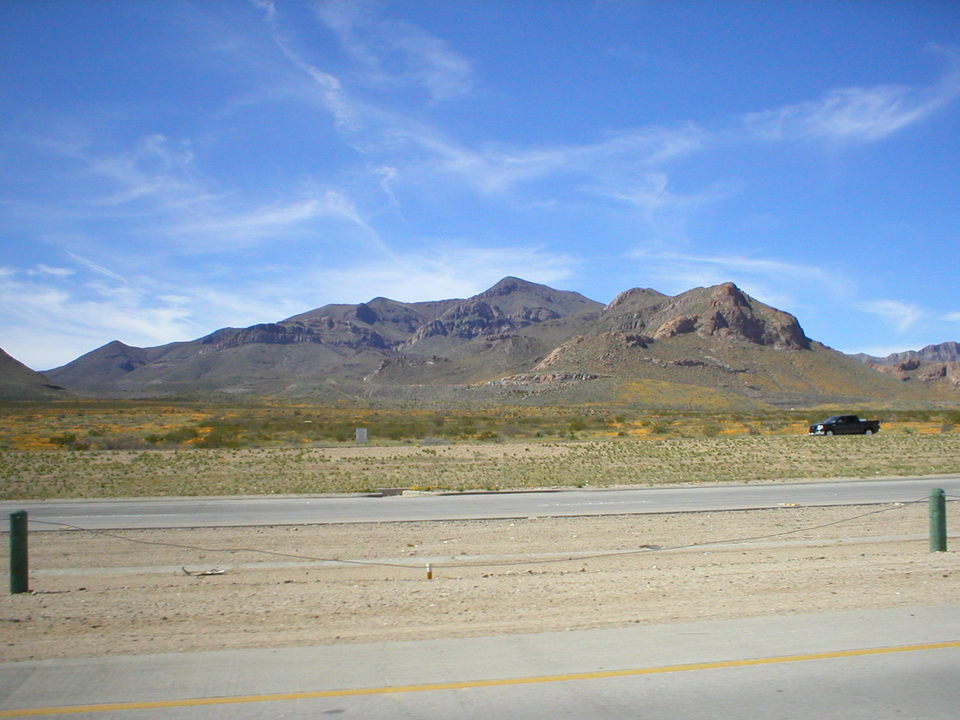 El Paso, TX: This is the Franklin Mountains - the yellow is the poppies that come each spring.