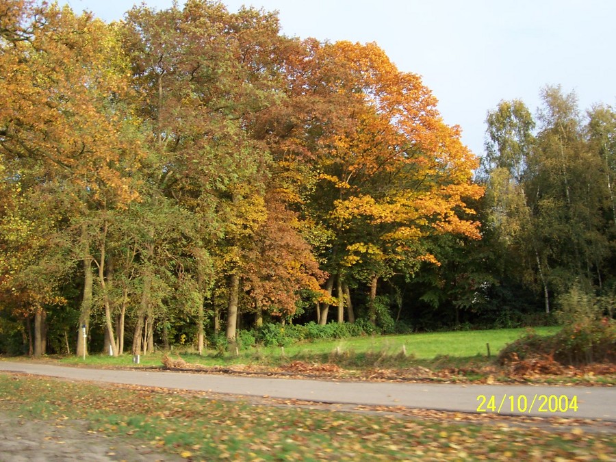 Boulder, MT: The Netherlands in the Fall.