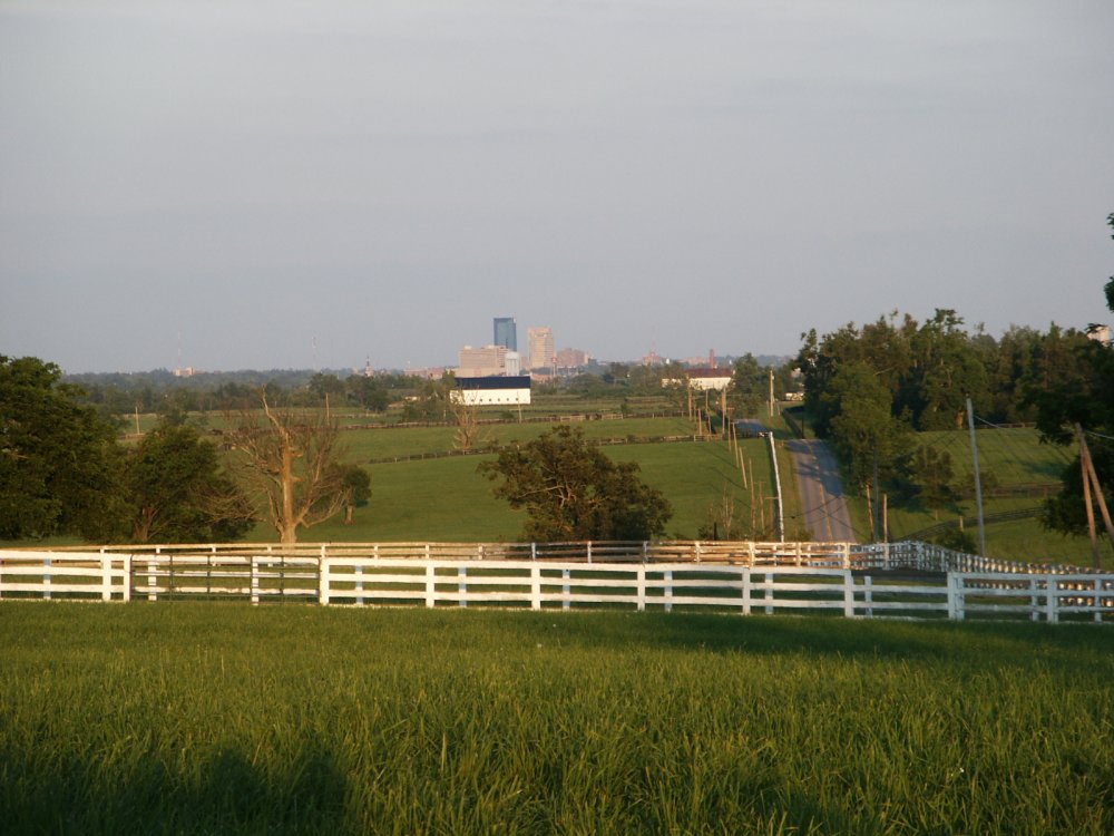 Lexington-Fayette, KY: View of Lexington Skyline from Old Frankfort Pike